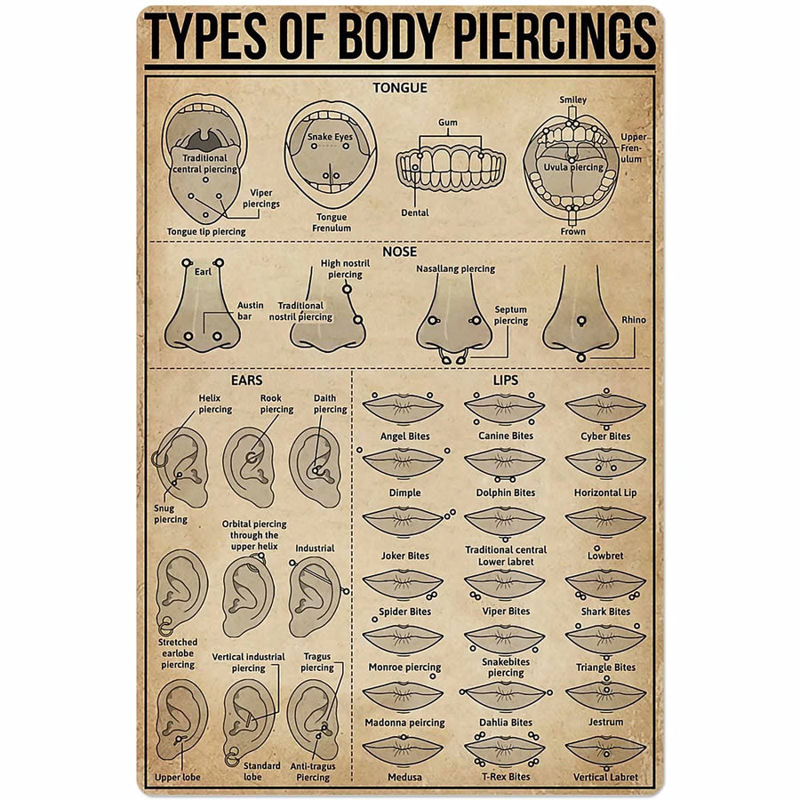 Types of Body Piercings Tin Sign Knowledge Popular Science Poster School Farm Garden Hospital Information Table Bar Garage Club Home Wall Decoration