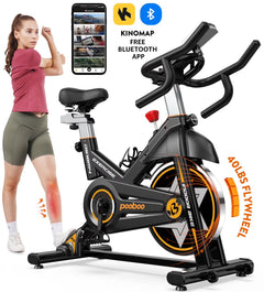 LNOW Commercial Built - in Bluetooth Fan Exercise Bike, Adjustable Air Resistance with Dual - Action Handlebars, Heavy Duty Indoor Cycling Bike for Home Gym Traininning, 350 lb Arm/Leg Cardio Workout