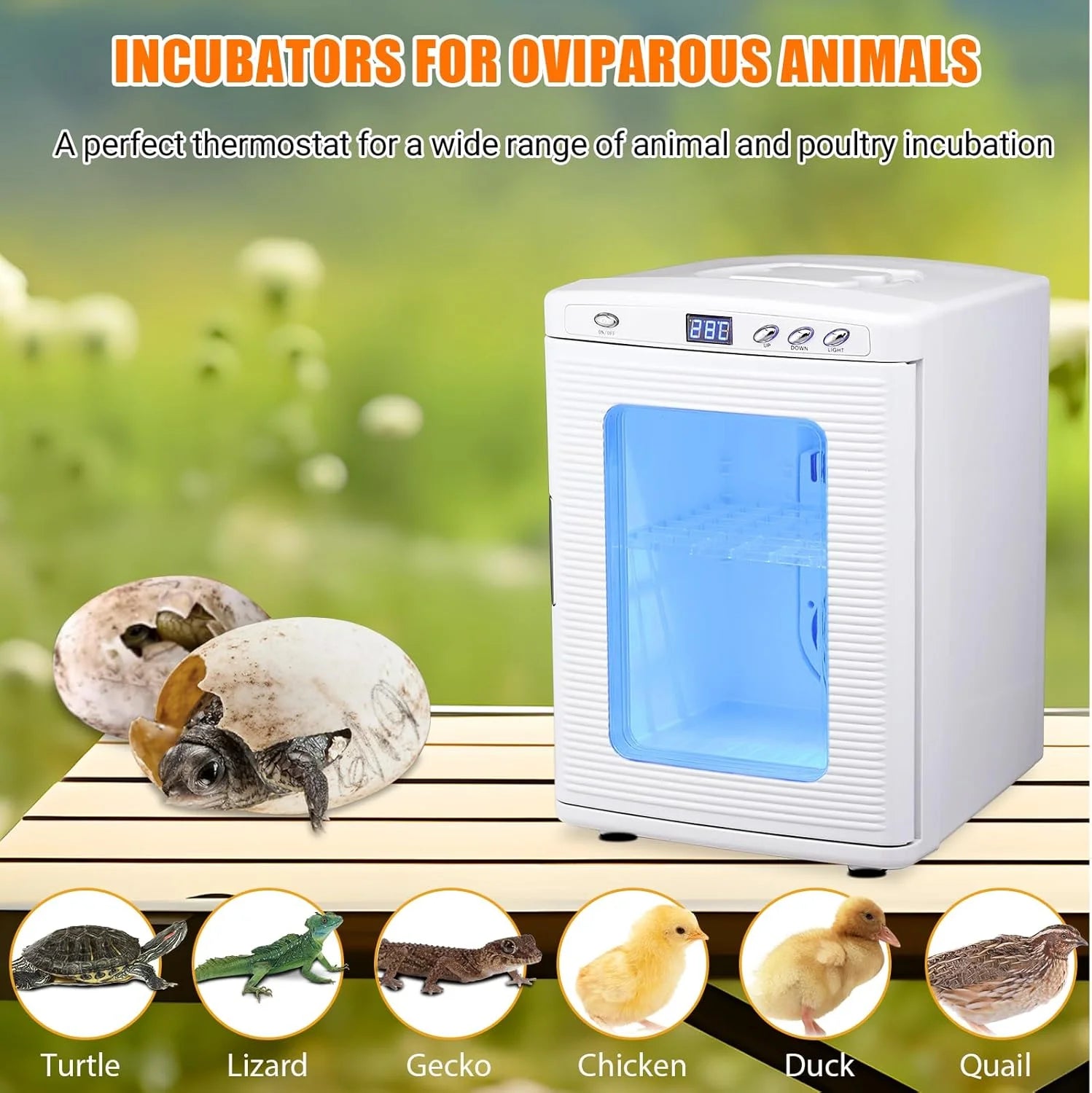 Garvee 25 L Reptile Incubator for Hatching Eggs - Portable Scientific Laboratory Incubator, Temperature Controlled 10� - - 60� - for Small Reptiles, Cooling and Heating Digital Incubator, 12V/110V Black