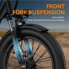 Electric Bike for Adults, 745W Peak Motor Ebike, 48V 13ah Removable Battery, 20MPH, 80 Miles Max, 20" Fat Tire Electric Bicycle with Colorful Display, All - Terrain E - Bike for Adults and Teens