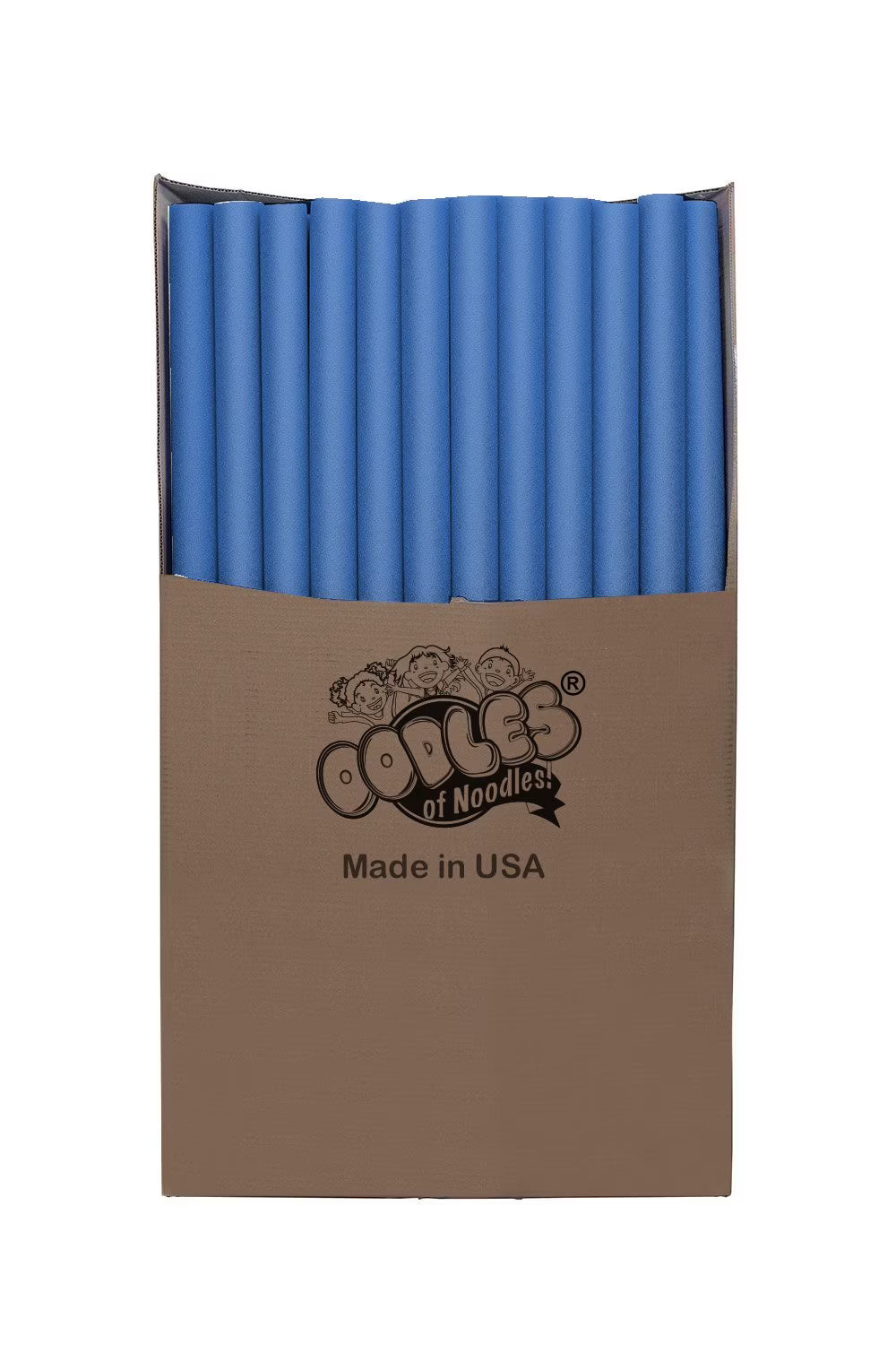 50 Pack of Oodles of Noodles Foam Swimming Pool Wholesale Price