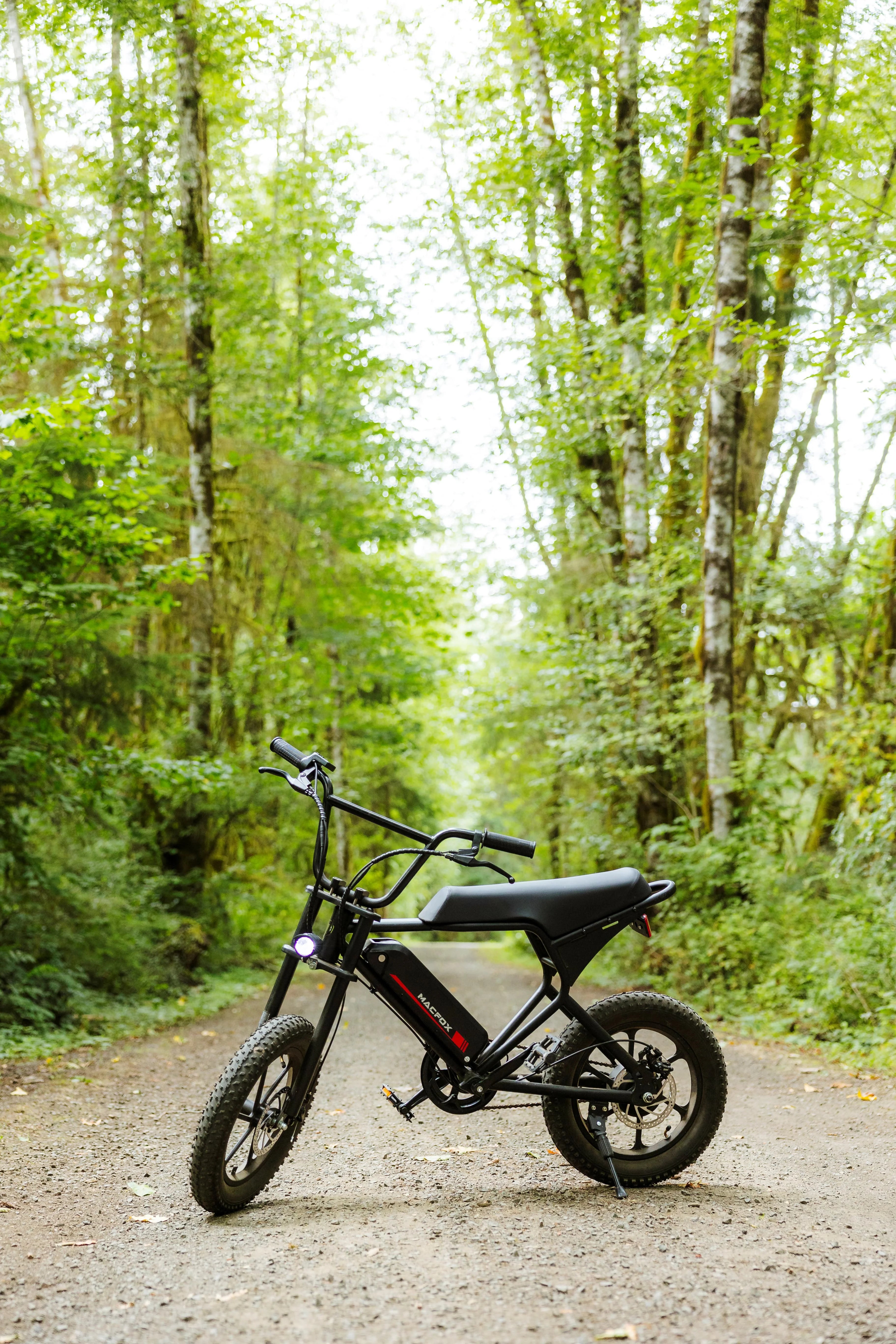 Macfox M19 Teen Electric Bike