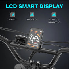 COLORWAY 750W 20"x4.0 Fat Tire Electric Bike, 48V 15ah Battery, Off - Road E - Bike for Adults, UL2849 Certified