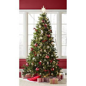 Norwood Fir Green Spruce Artificial Christmas Tree with White Lights Beachcrest Home Size 7' H