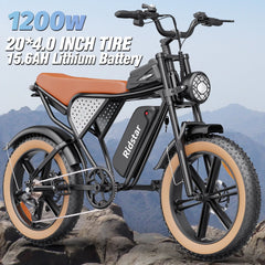 1500W MTB Electric Bicycle 48V 20ah Removable Battery E - Bike，electric Bike for Adults 20" Fat Tire Electric Motorcycle, Shimano 7 Speed Full Suspension Mountain Bike UL2849