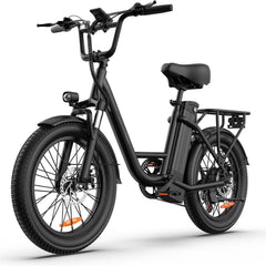 Electric Bike for Adults, 745W Peak Motor Ebike, 48V 13ah Removable Battery, 20MPH, 80 Miles Max, 20" Fat Tire Electric Bicycle with Colorful Display, All - Terrain E - Bike for Adults and Teens
