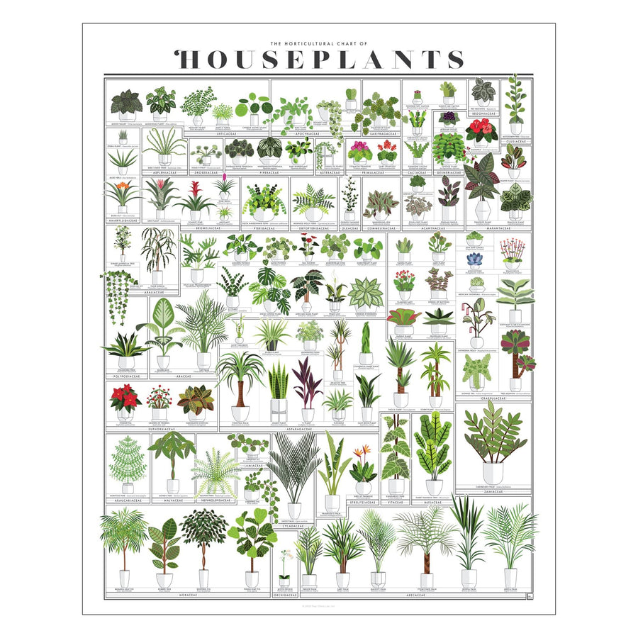 Pop Chart | Horticultural Chart of Houseplants | 16" x 20" Wall Art | Botanical Poster | Earthy Wall Decor | 100% Made in The USA
