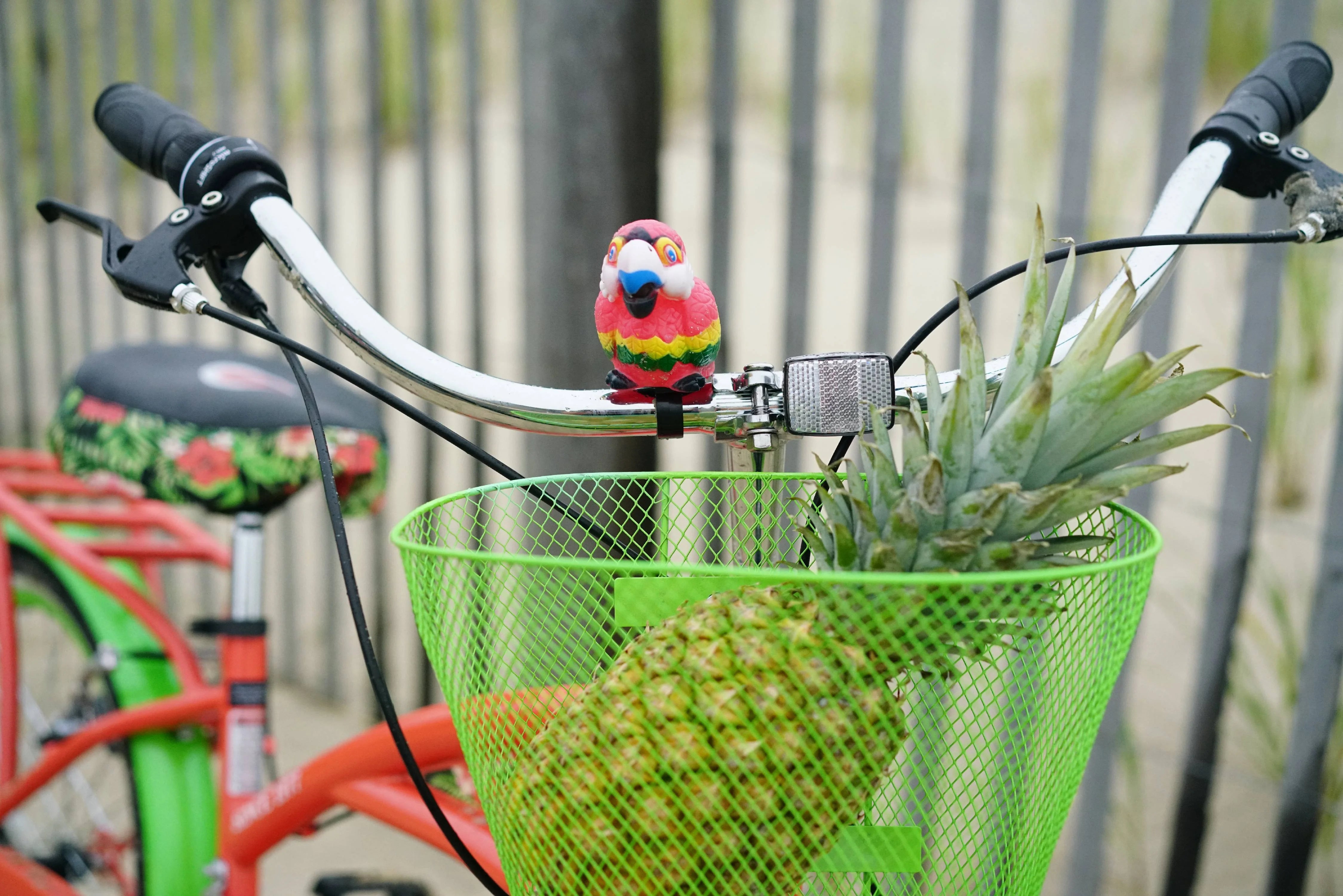 24" Island Life Multi Speed Girl'S Bike, Coral/Green