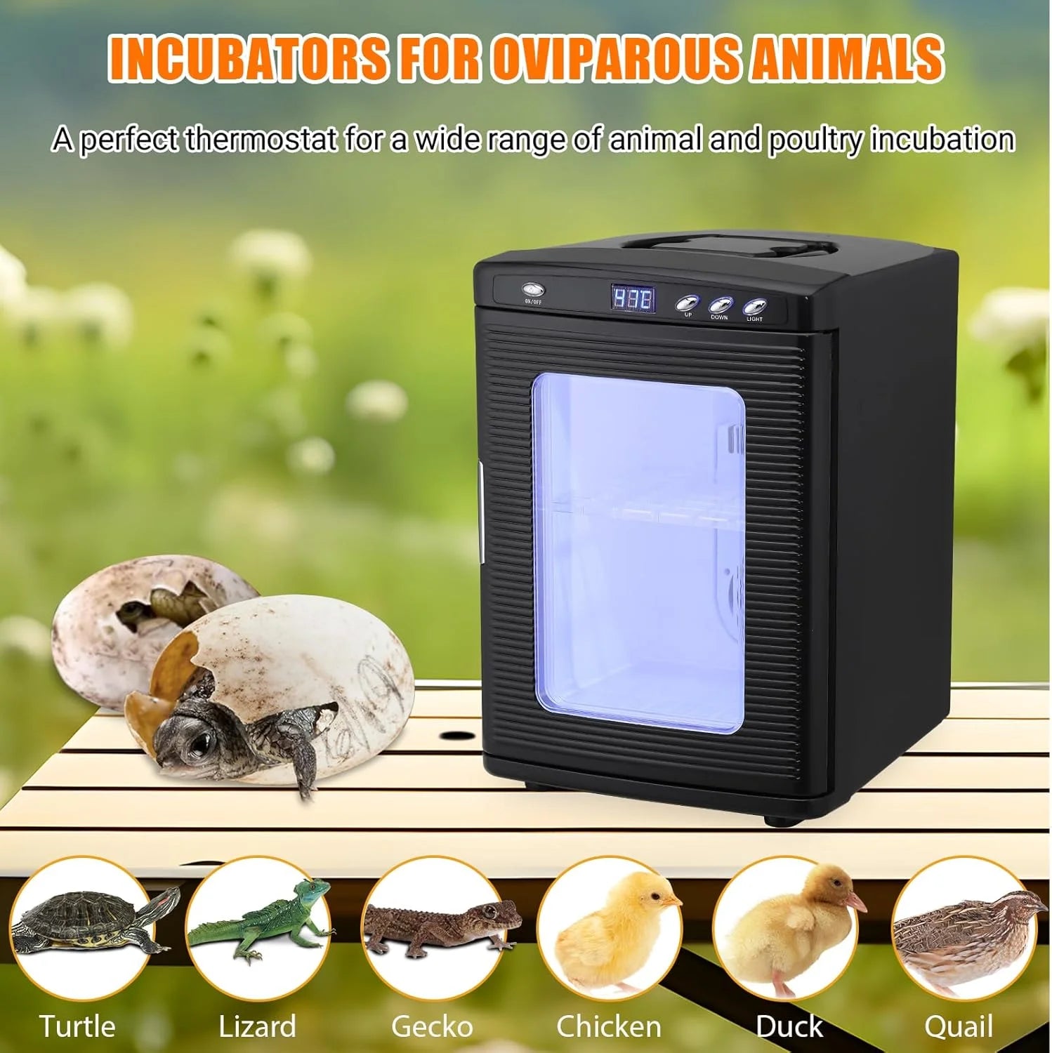 Garvee 25 L Reptile Incubator for Hatching Eggs - Portable Scientific Laboratory Incubator, Temperature Controlled 10� - - 60� - for Small Reptiles, Cooling and Heating Digital Incubator, 12V/110V Black