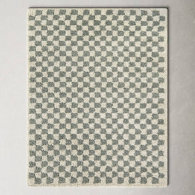 Walker Checkered Sage/Cream Shag Area Rug AllModern Rug Size: Rectangle 6'7" x 9'