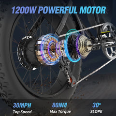 1500W MTB Electric Bicycle 48V 20ah Removable Battery E - Bike，electric Bike for Adults 20" Fat Tire Electric Motorcycle, Shimano 7 Speed Full Suspension Mountain Bike UL2849
